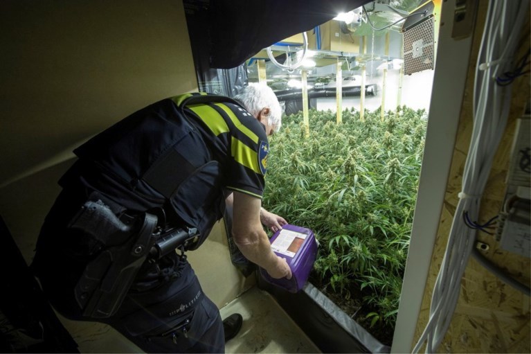 Hoe een grootschalig Albanees drugsnetwerk langzaam voet aan de grond kreeg in Limburg