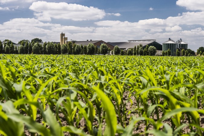Nederlandse landbouw moet op de duurzame schop