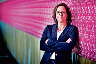 ‘Foute bedrijven hoeven niet te worden beschermd’