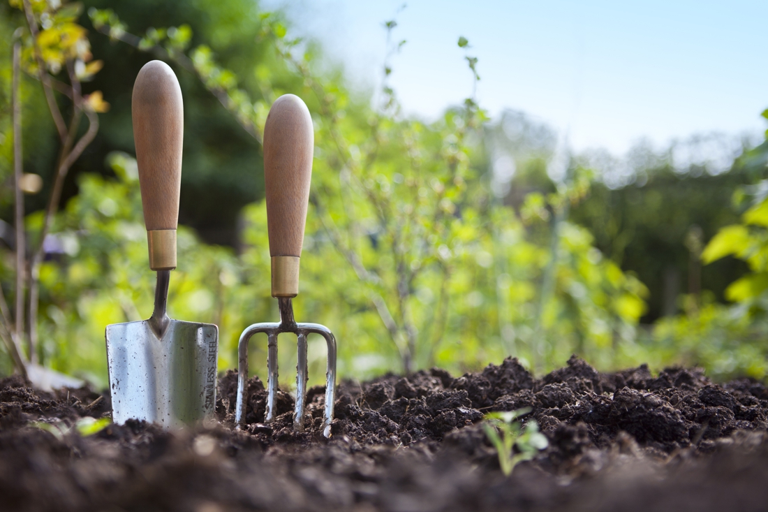 Gemeente verhuurt moestuinen in Lemiers - De Limburger