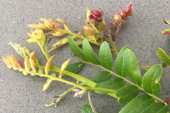 ‘Vreten en gevreten worden, ook dat is de natuur’