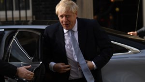 Boris Johnson kiest voor roedel pitbulls