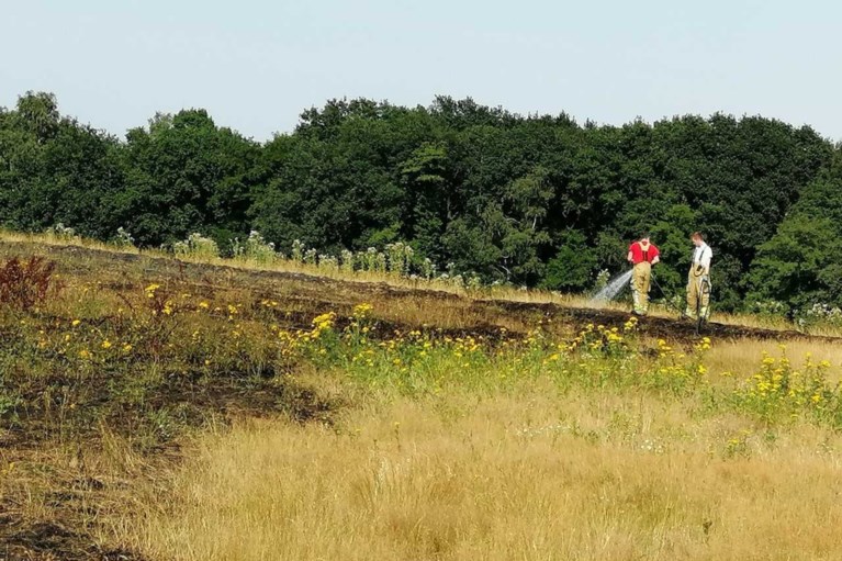 Brandweer rukt uit voor natuurbrand op heuvel in Lomm