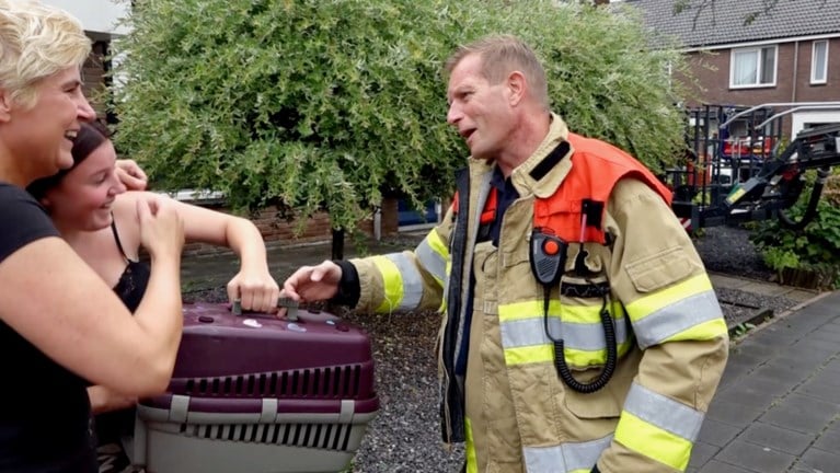 Video: Kat durft niet meer van dak af: brandweer brengt redding met hoogwerker