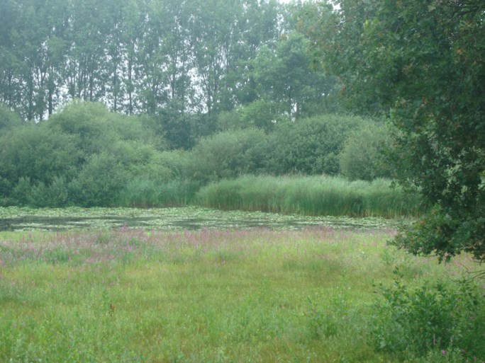 Knopen Lopen door groen en natuurrijk Ell