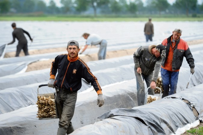SP en ChristenUnie: rem op arbeidsmigratie