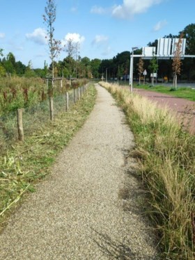Bloemenberm in volle bloei weggemaaid in Amstenrade