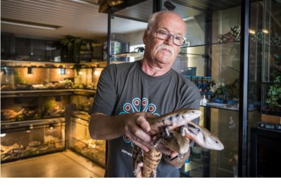 spiraal Stevenson Ongeëvenaard Tegelenaar stopt met dierenwinkel: 'Slangen in de aanbieding... - De  Limburger Mobile