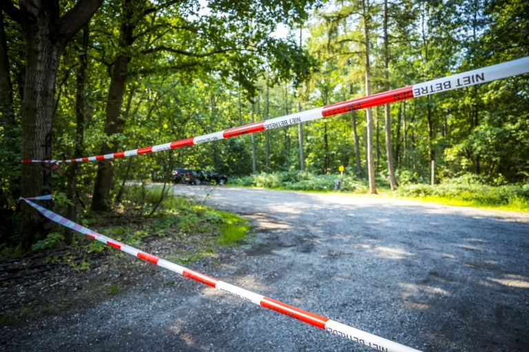 Video: Zes kilometer lint trekken: Brunssummerheide afgesloten voor schouw