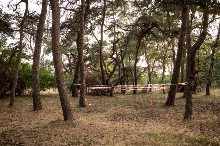 Schouw in zaak-Nicky Verstappen op Brunssummerheide afgerond