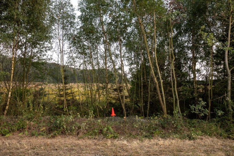 Schouw in zaak-Nicky Verstappen op Brunssummerheide afgerond