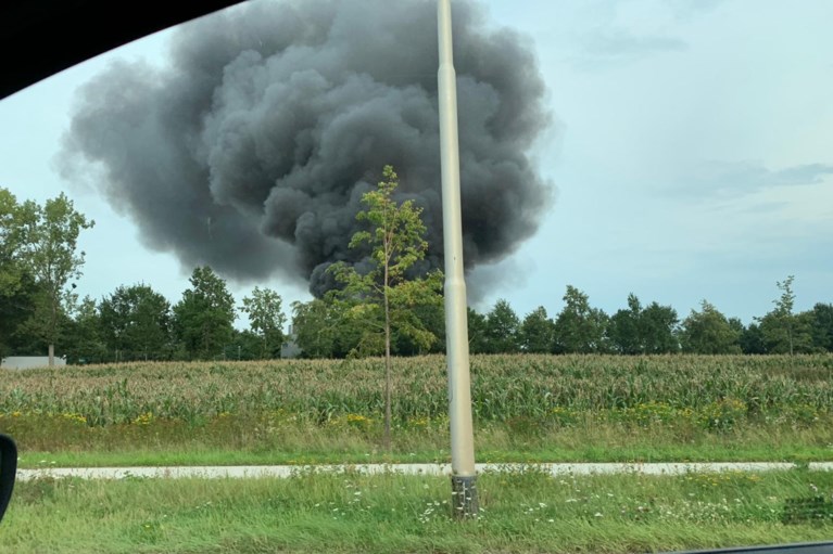 Video: Grote brand in biomassacentrale Sittard onder controle