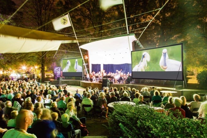 WAD Live in het theater: ‘Een sopraansaxofoon hoort gewoon bij een drieteenstrandloper’