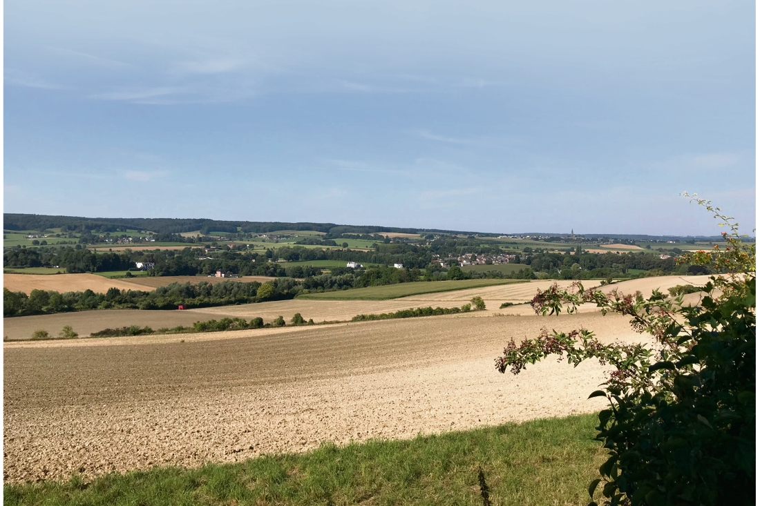 Wandelen op de oude berg vol kalk en Duits beton - De Limburger
