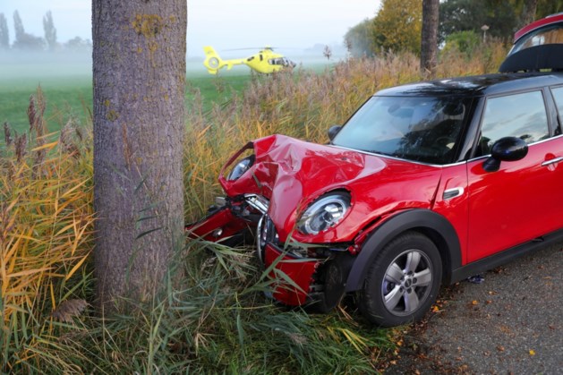 Auto botst tegen boom op N266 Nederweert: bestuurster ...