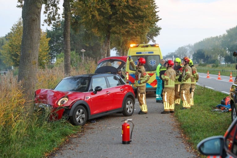 Auto botst tegen boom op N266 Nederweert: bestuurster gewond naar ziekenhuis