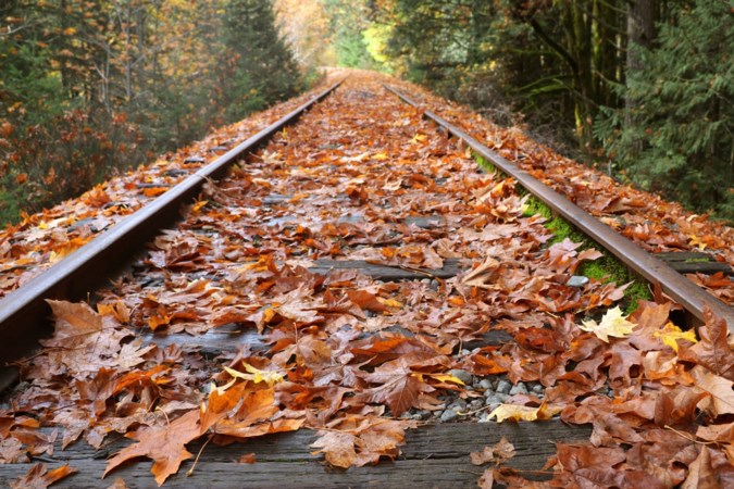 Vallende herfstbladeren hinderen treinen en NS steeds minder