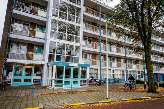 Vrouw ligt wekenlang dood in flat: vliegenoverlast bij buren