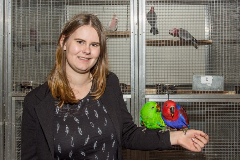 Vogelshow in De Residentie Abdissenbosch
