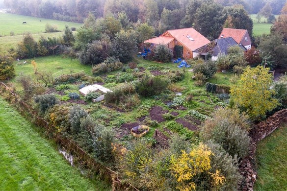 Rechtbank gaat zelf kijken in ruimtes boerderij Ruinerwold waar jongeren zouden zijn vastgehouden
