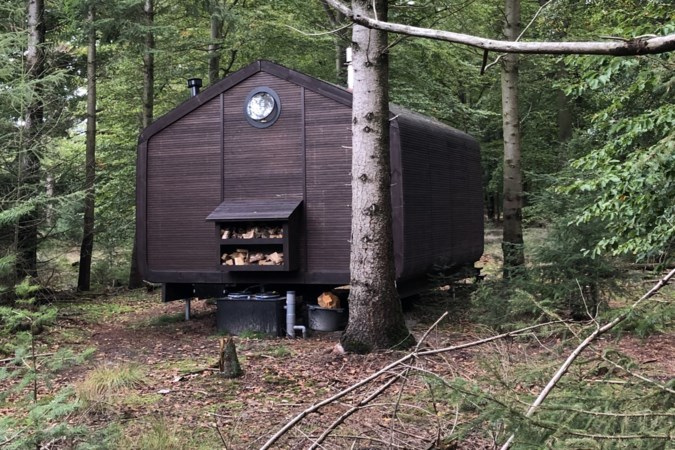 Logeer eens moederziel alleen in een cabin in een donker bos: ‘Is daar iemand?’