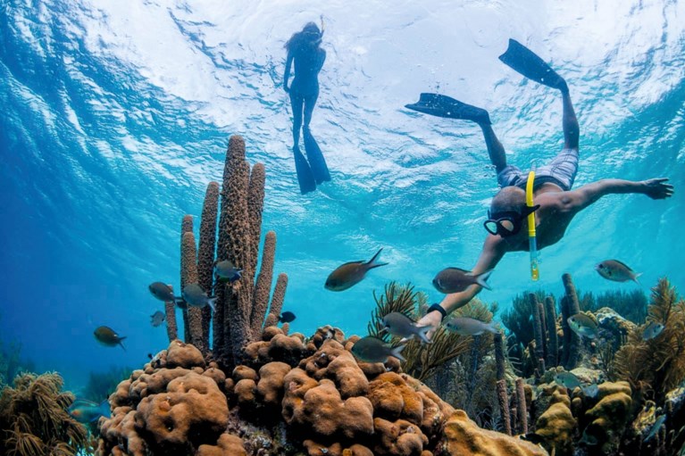 Heerlense Dave woont op Bonaire: ‘Hier leeft iedereen vreedzaam naast elkaar’