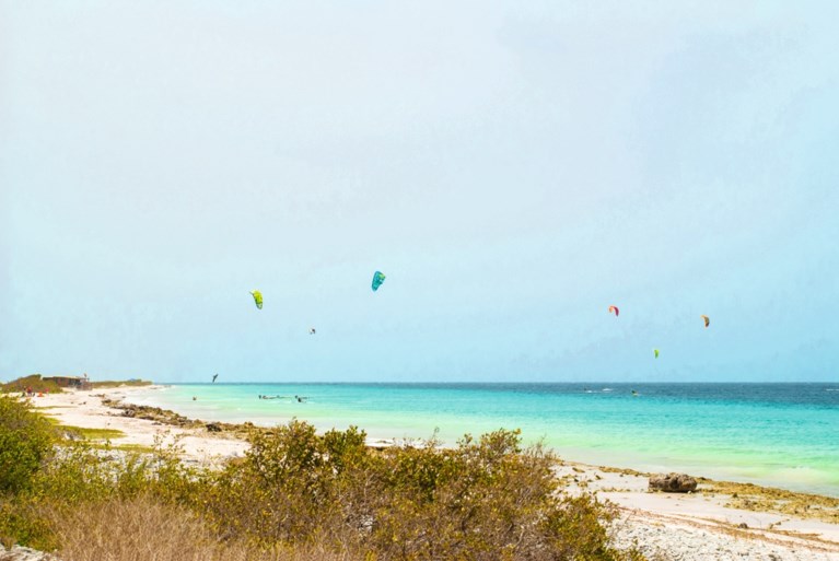 Heerlense Dave woont op Bonaire: ‘Hier leeft iedereen vreedzaam naast elkaar’