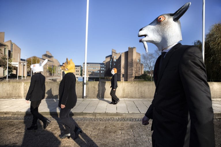 ‘Herbezinning op vliegveld MAA onontkoombaar’
