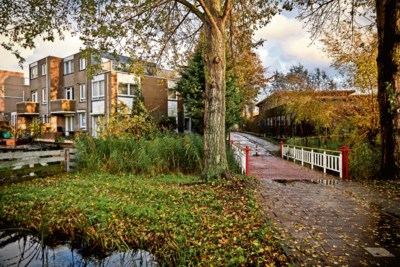 Wat als iemand urenlang in de tuin staat te schreeuwen?
