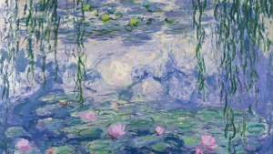 Dagtocht Waterlelies van Monet Den Haag