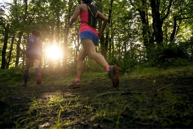 Trailloop in Noorbeek - De Limburger