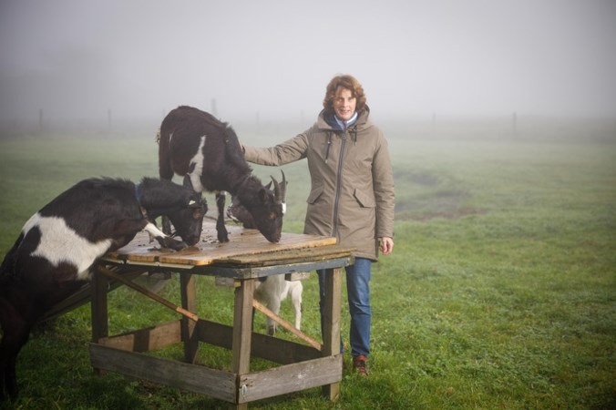Toekomst van de veehouderij: ‘Niet minder boeren, maar minder dieren’