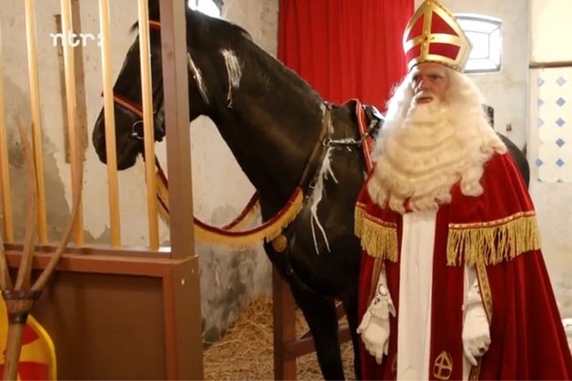 Sinterklaas’ paard Ozosnel is niet wit, maar zwart - De Limburger