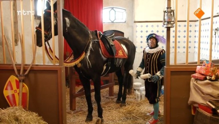 Sinterklaas Paard Ozosnel Is Niet Wit Maar Zwart De Limburger