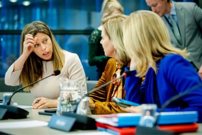 Kabinet probeert PvdA te paaien voor stikstofwet: Donderdag belangrijke stemming