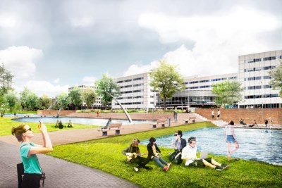Hoe goed zijn ze bezig daar in Limburg?
