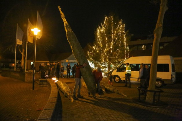 Gemeente Nederweert deelt gratis kerstbomen uit - De Limburger