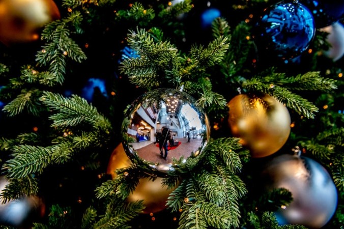 Wetenschap onder de kerstboom: Deze 10 feiten over kerst mag je niet missen