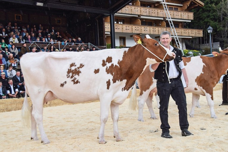 Maastrichtse Vivanne ging in de Zwitserse Alpen samenwonen met Reto en zijn dertig melkkoeien