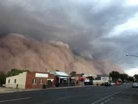 Australië geteisterd door zandstormen, hagel en onweer: ‘Net een apocalyptische film’