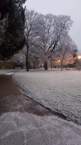 Eerste (dunne laagje) sneeuw van het jaar valt in Zuid-Limburg