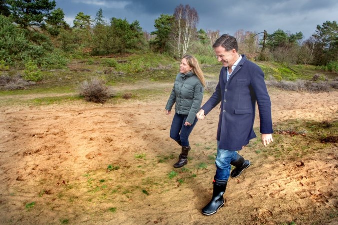 Halvering aantal wilde dieren in Nederland sinds 1990, stikstof grote boosdoener