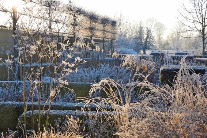 Dit moet er in de tuin in februari gebeuren