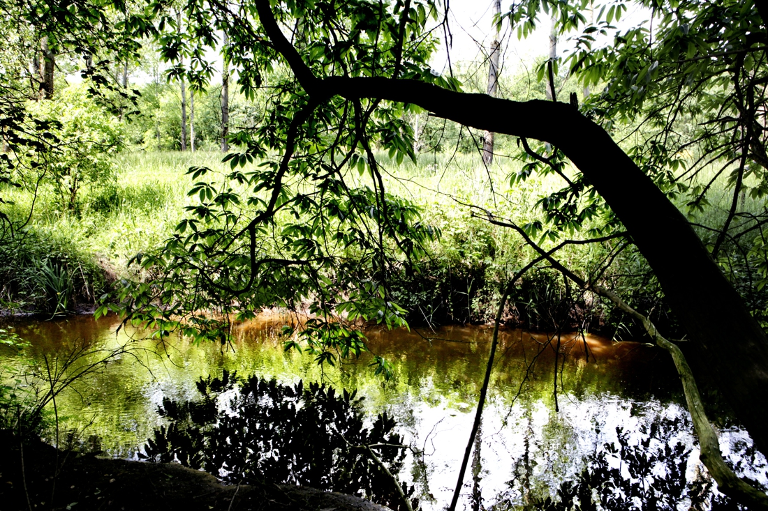 Leudal werkt aan actueel beleid toerisme: 'Nodige te bieden, maar te weinig zichtbaar' - De Limburge