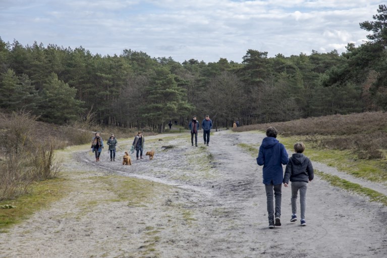 ‘Apocalyps? Mensen zijn knettergek!’
