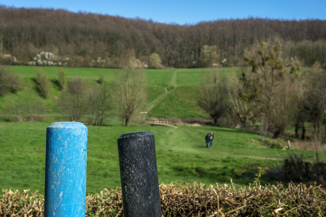 Nieuwe bewegwijzering van wandelroutes in gemeente Gulpen-Wi... - De Limburger