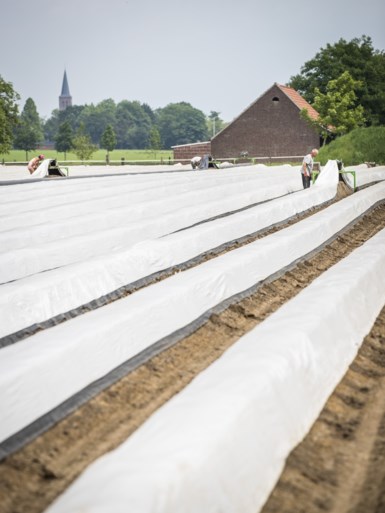 Paniek en angst onder arbeidsmigranten in Limburg: ‘Ze weten zich geen raad’