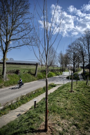 Levende herinnering in Ubachsberg aan de bevrijding