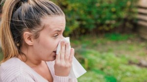 Hooikoorts-patiënten opgepast: komende week wederom lenteweer met veel pollen