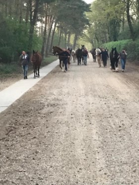 Video: Vuur bij grote brand in natuurgebied De Meinweg bij Herkenbosch laait weer op